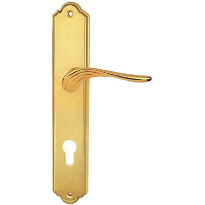 Brass Handle with Plate